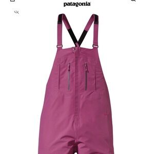 Patagonia Gore-Tex Pro Super W’s Super Alpine Bibs